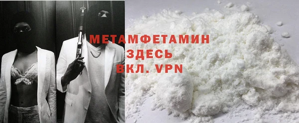 гидра Каменка