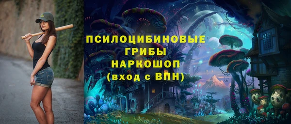 крисы Арсеньев