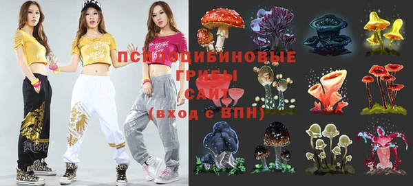 крисы Арсеньев