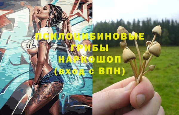 крисы Арсеньев